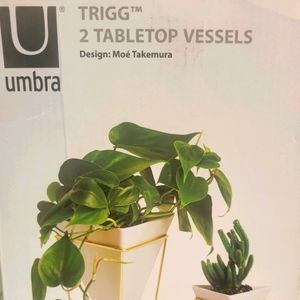2 Umbra Tabletop Vessels